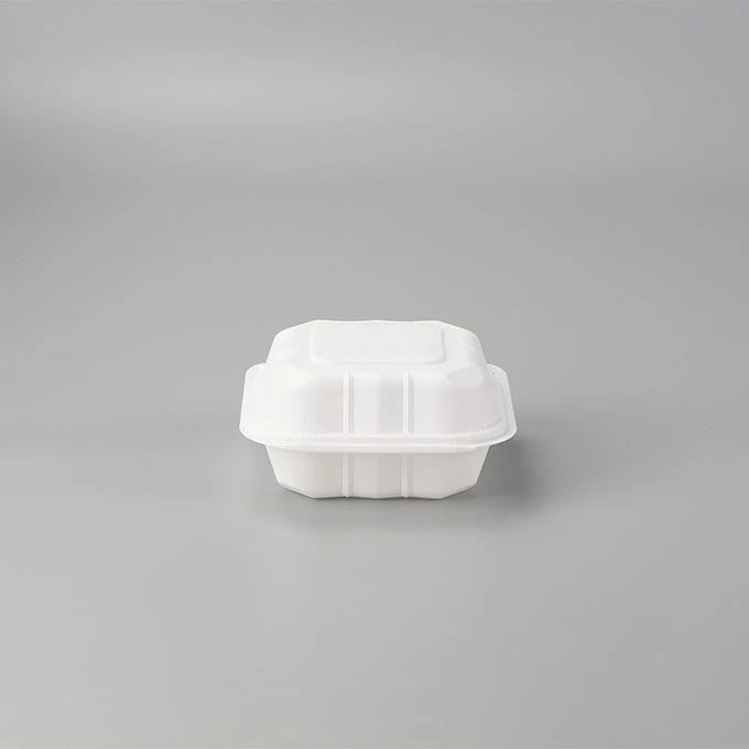 Disposable Bento Lunch Box Disposable Bento Lunch Box