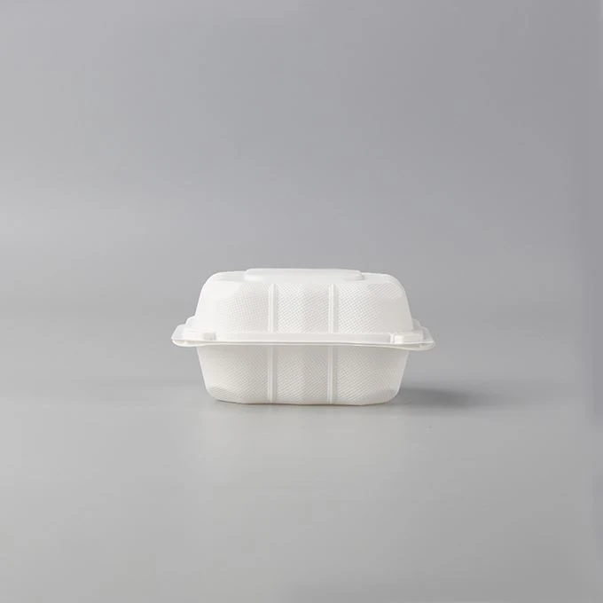 Disposable Bento Lunch Box