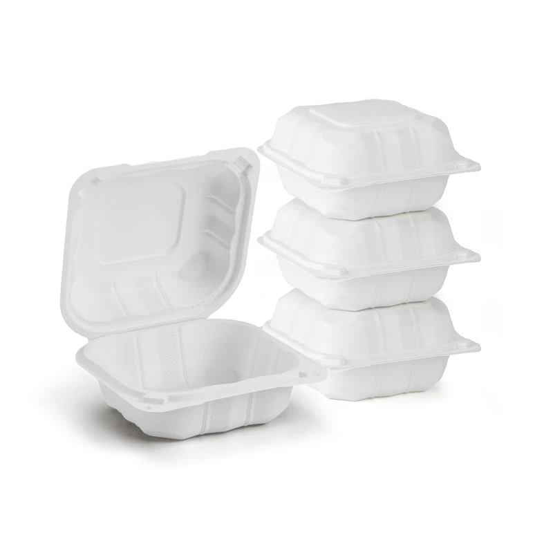 Disposable Bento Lunch Box