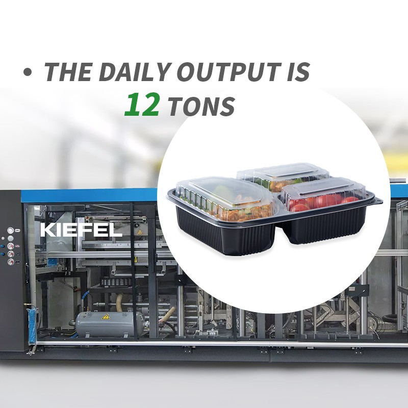 product-800-800 product-800-800