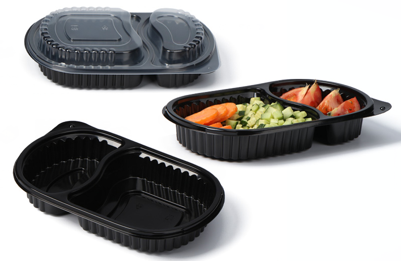 disposable containers with lids for food