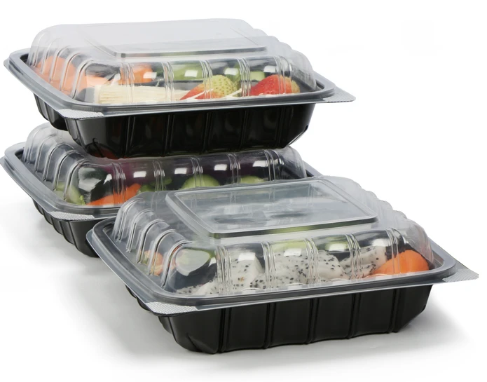 disposable lunch box