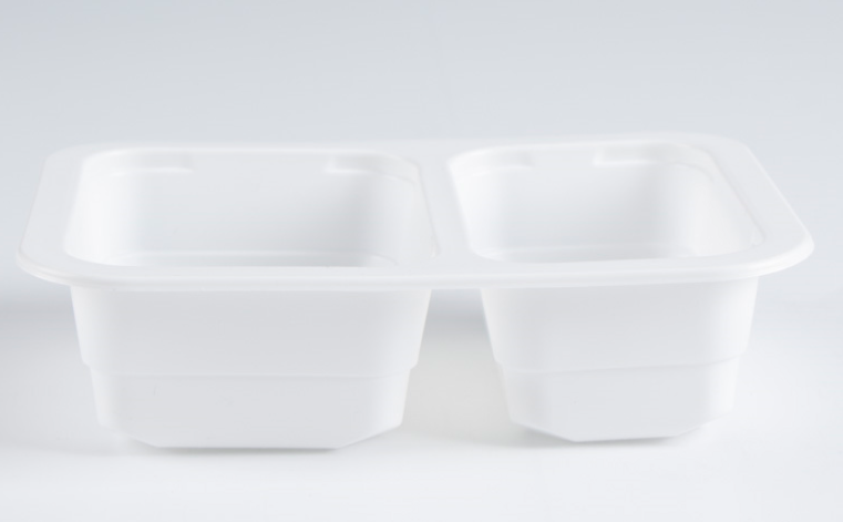 disposable lunch boxes