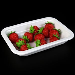 Plastic voedselbakje voor het verpakken van vers fruit