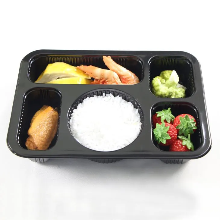 Take Away 5compartimenten Bento Box