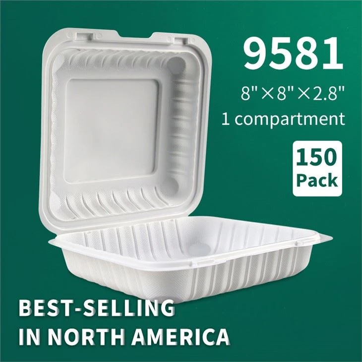 YR9581 America Hot Sale Disposable Take Out Clamshell Food Container Microwavable scharnierende lunchbox