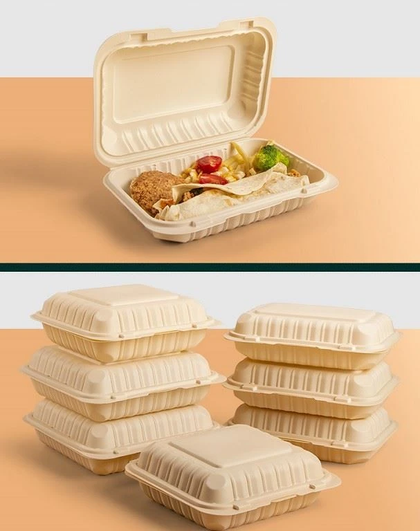 8x8 Inch Hinged Take Out Away Disposable Food Container Packing Box Biodegrable