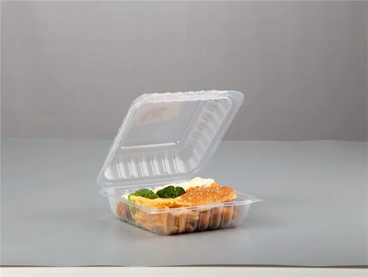 9"x6" Transparent Plastic PP Clear Hinged Lid To Go Food Takeout Containers