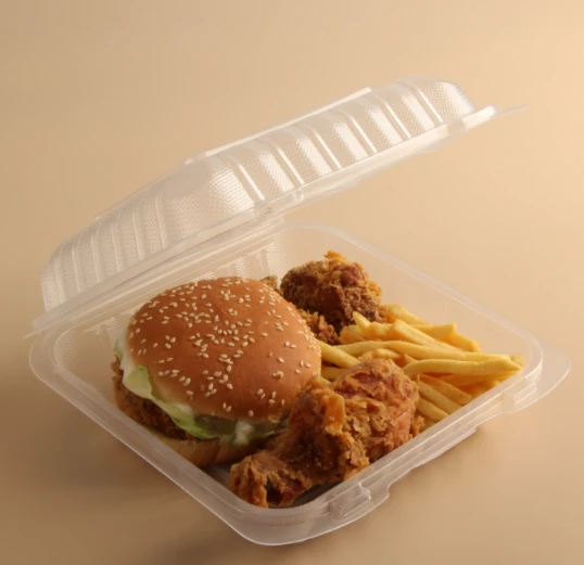 Wegwerp To Go-container Transparant