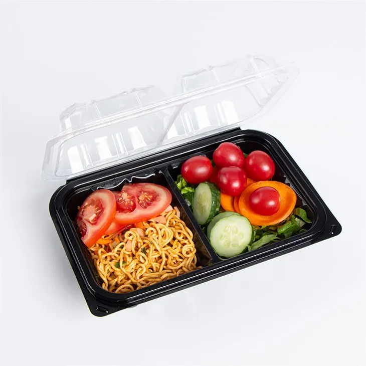 Warm eten wegwerp lunch Bento Box