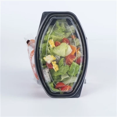 Vier categorieën milieuvriendelijke lunchboxen