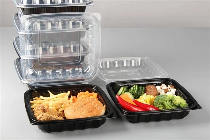 Plastic Food Container Take Out