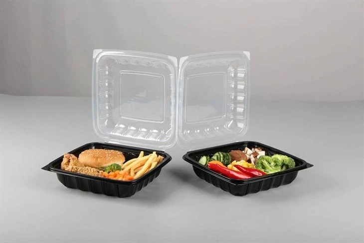 Plastic Food Container Take Out