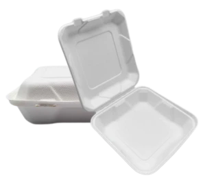 8'' Bagasse-to-go-voedselcontainers