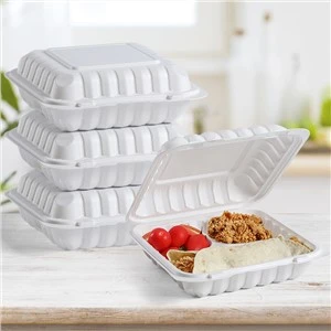 9''x9'' Plastic afhaalmaaltijdencontainer