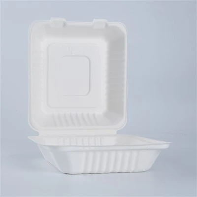 Biologisch afbreekbare lunchboxen voor eenmalig gebruik