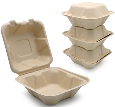 Wegwerp Bagasse To Go-containers
