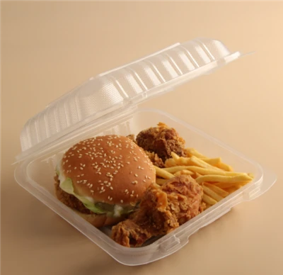 Wegwerp To Go-container Transparant