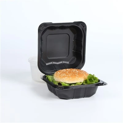 Eco-vriendelijke wegwerp Bento Box