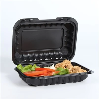 Take Away Wegwerp Bento Lunchbox