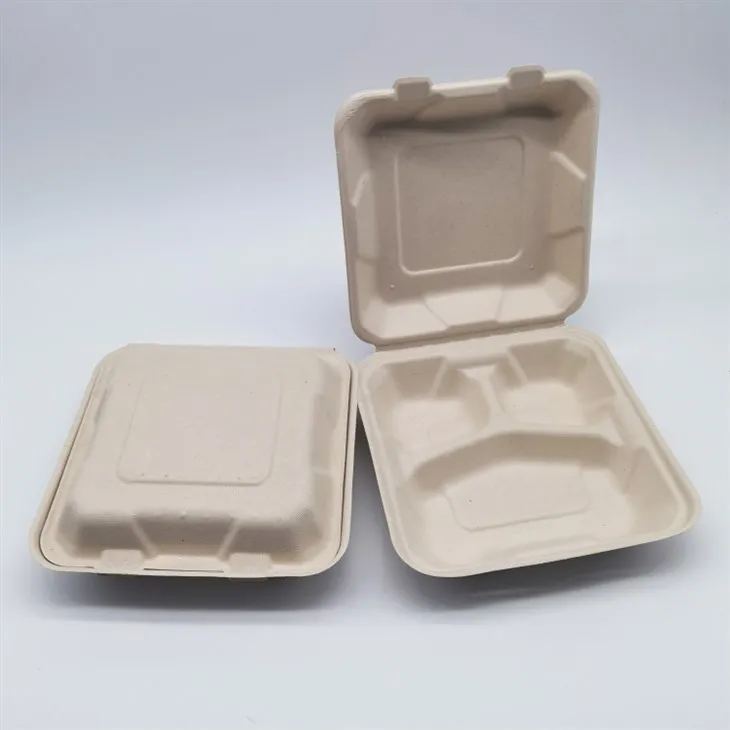 Suikerriet Bagasse Voedselcontainer 9''x9''