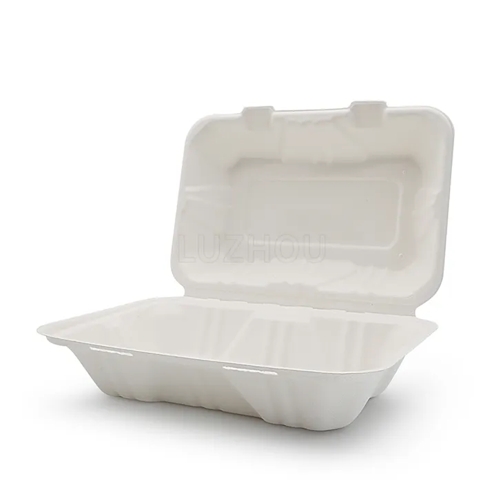 To Go-containers Bagasse scharnierend