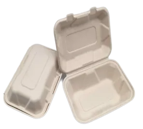To Go-containers Wegwerpbagasse