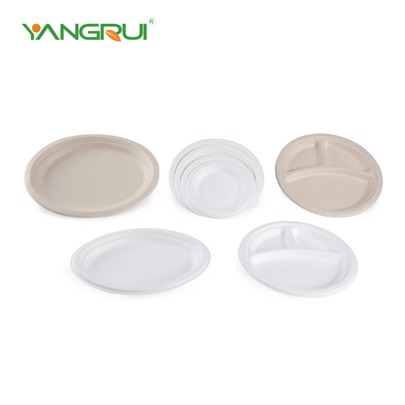 Bagasse ronde plaat