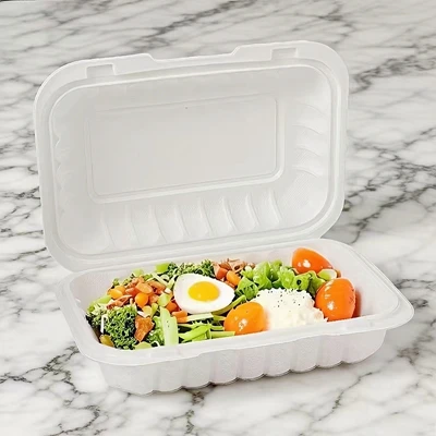 Een analyse van het verbod op enkele-Gebruik plastic om-lunchboxen in 2025
