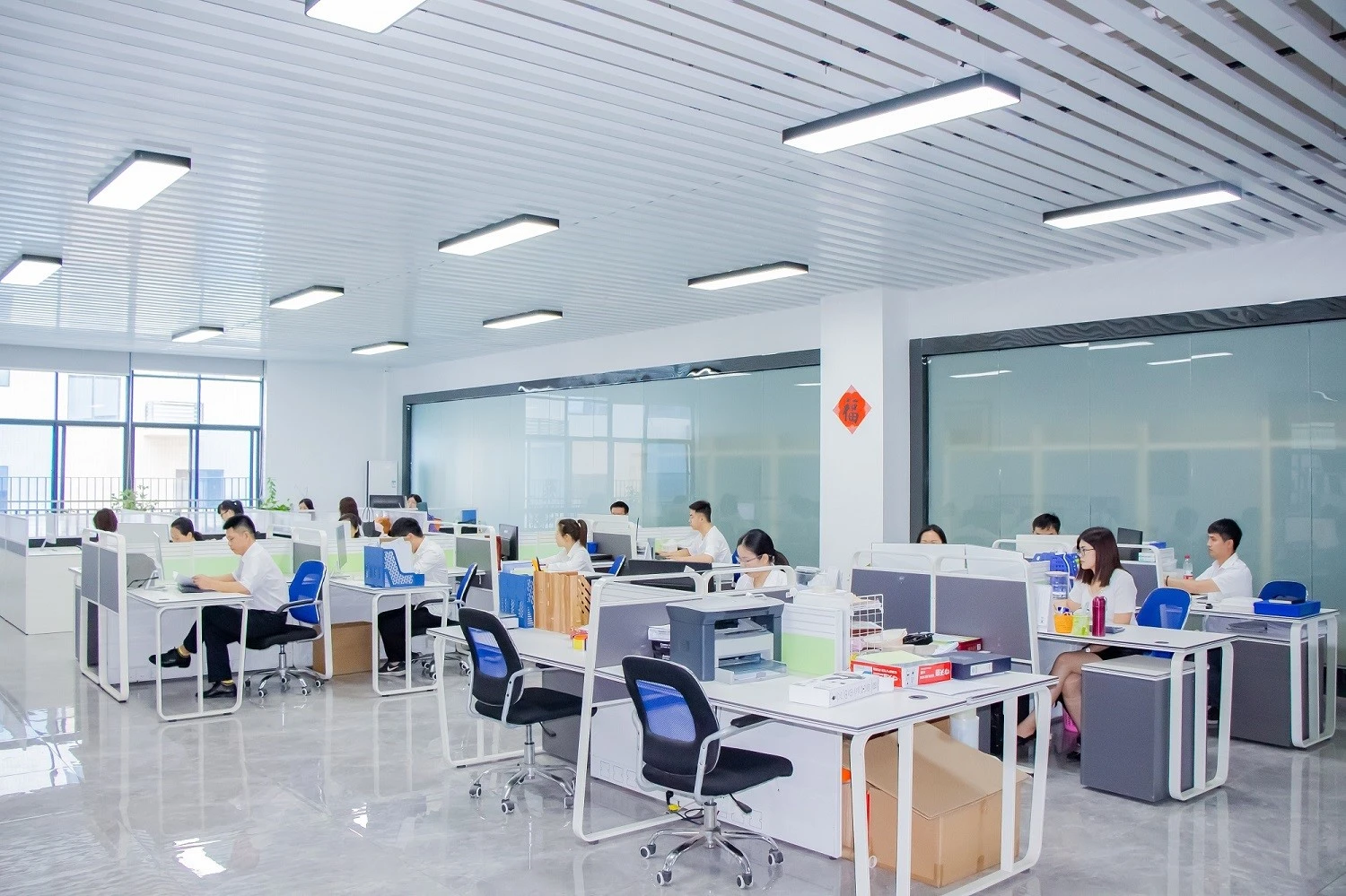 IMG5518
