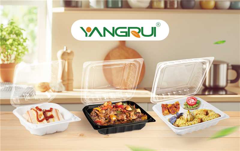 Hinged Clamshell Food Containers Hinged Clamshell Food Containers