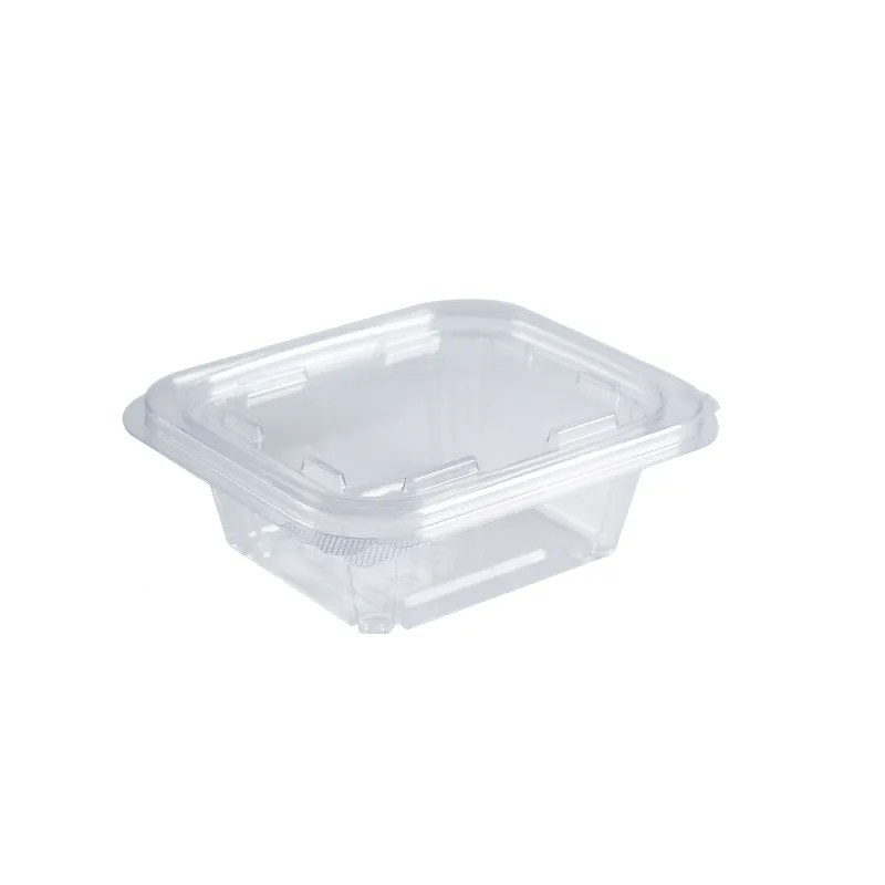 Huisdierensalade scharnierende deli -container