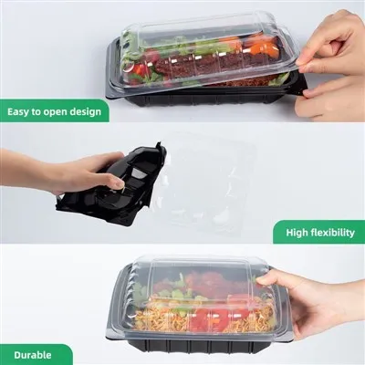 Plastic Container Takeout