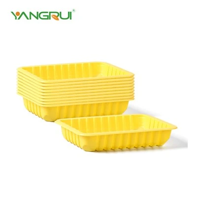 Thermoformed Plastic Tray